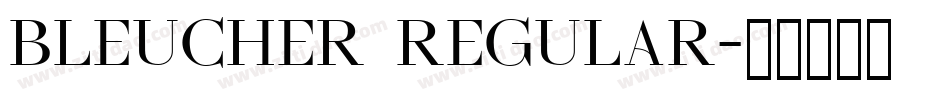 Bleucher Regular字体转换